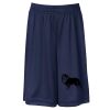 ATC™ PRO TEAM YOUTH SHORTS Thumbnail